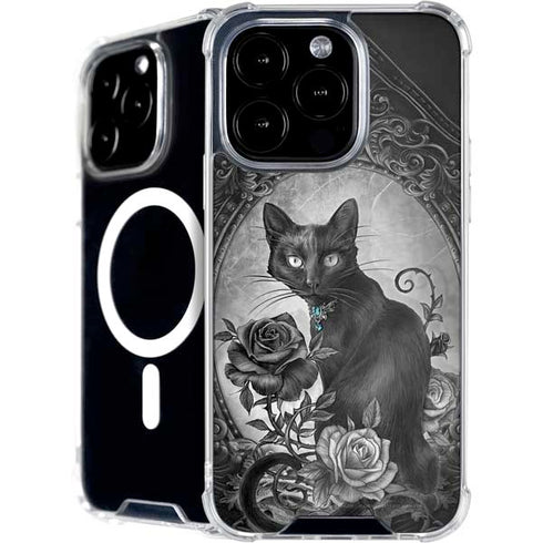 Alchemy Paracelsus - The Philosophers Familiar iPhone 16 Pro MagSafe Case